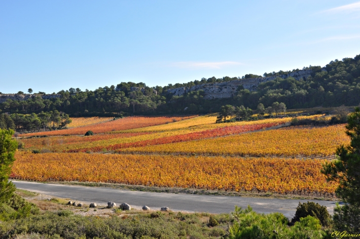 Domaine de Bringaïret - La Clape - Armissan