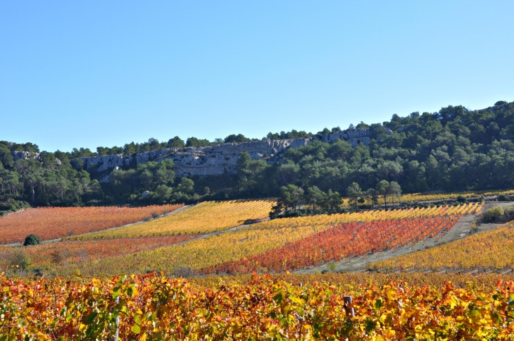 Domaine de Bringaïret - Massif de la Clape - Armissan