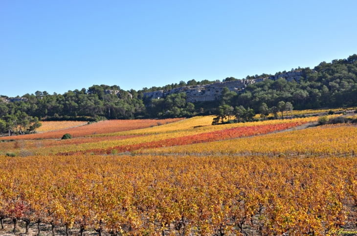 Domaine de Bringaïret - Massif de la Clape - Armissan