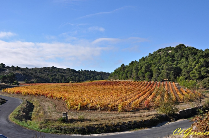 Combe Longue - Armissan - Massif de la Clape