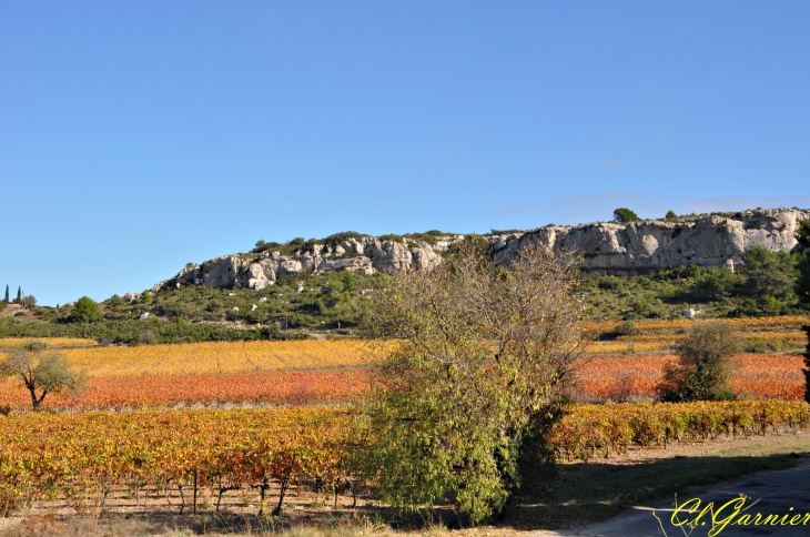 Domaine de Bringaïret - Massif de la Clape - Armissan