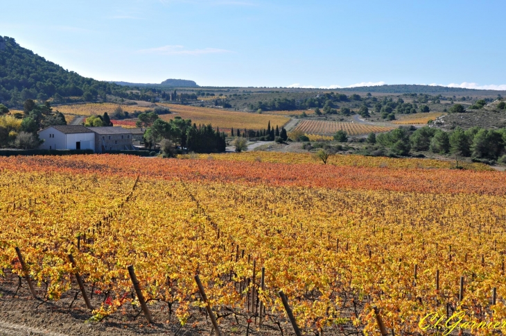 Domaine de Bringaïret - Massif de la Clape - Armissan