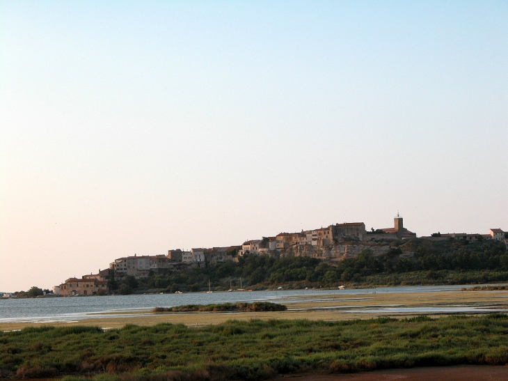 Vue generale - Bages