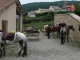 Randonnée à cheval autour du Pic de Bugarach