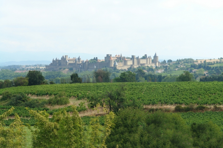 Cité de Carcassonne - vue de l'aire d'autoroute