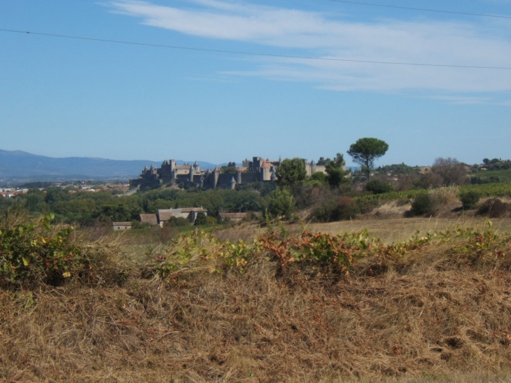 Vue générale - Carcassonne