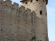 Photo précédente de Carcassonne La Cité