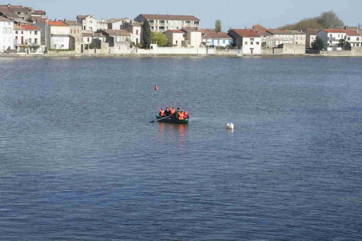 Sur le grand vassin - Castelnaudary