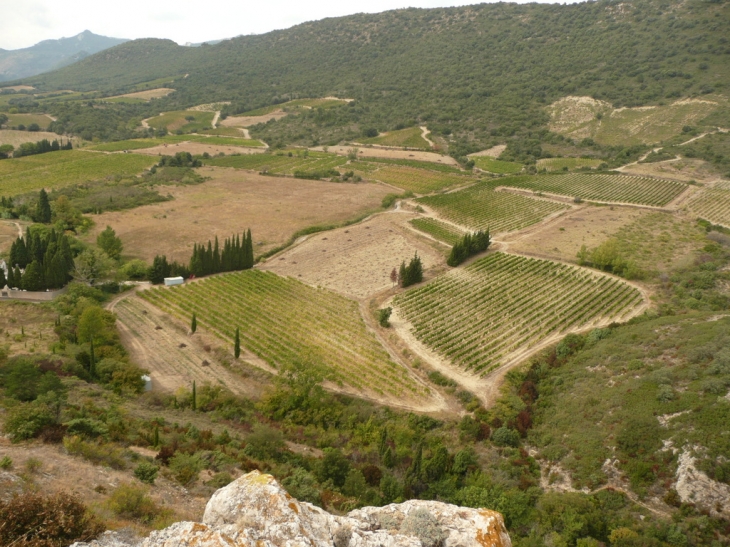 Vue depuis le moulin - Cucugnan