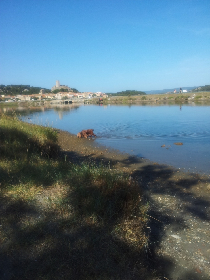 Vue sur le village - Gruissan