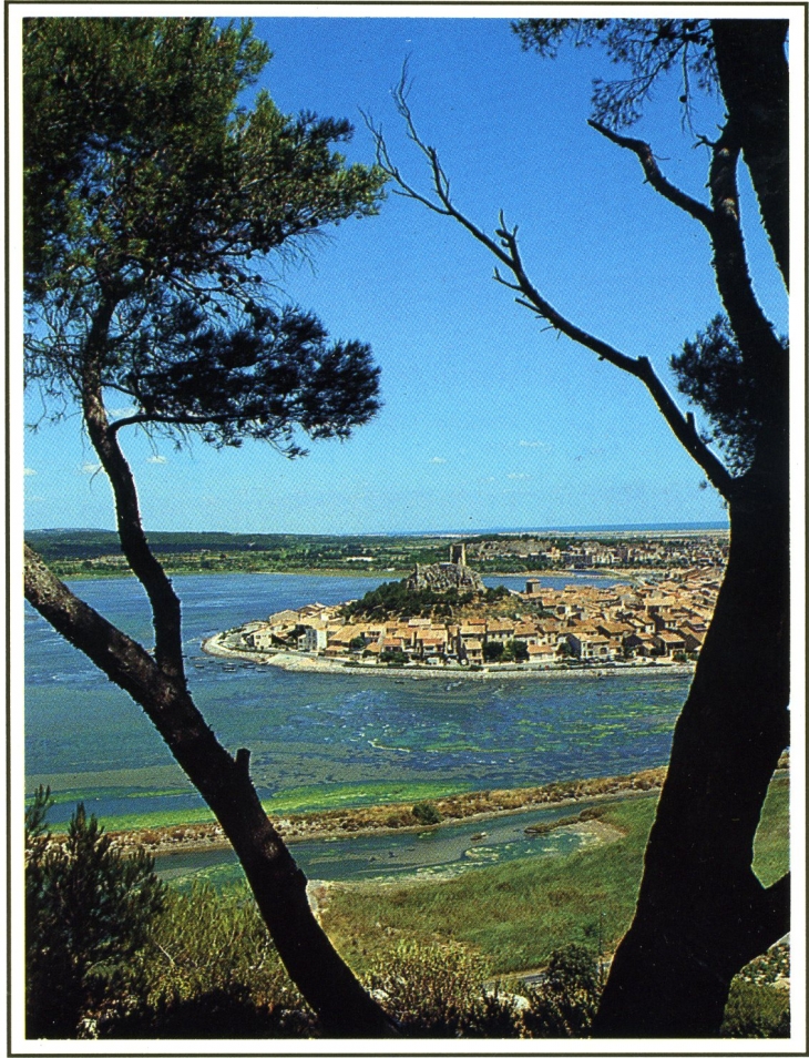 Le vieux village, dominé par légendaire Tour de Barberousse, s'avançant dans l'étang (carte postale de 1999) - Gruissan