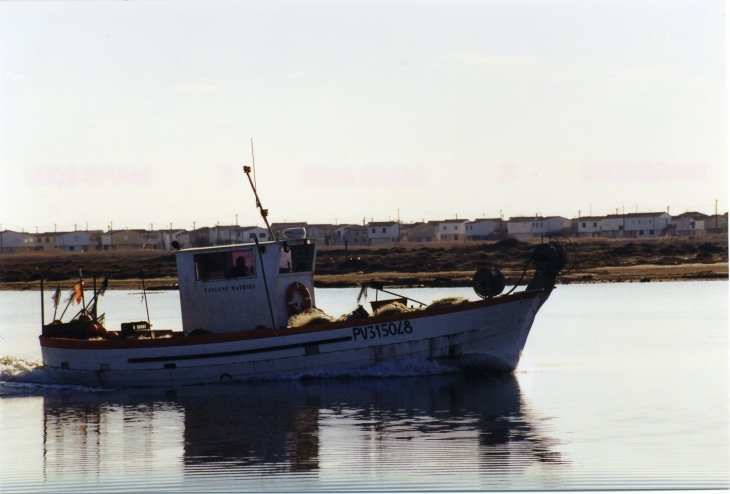 Un Pêcheur sortant en Mer. - Gruissan