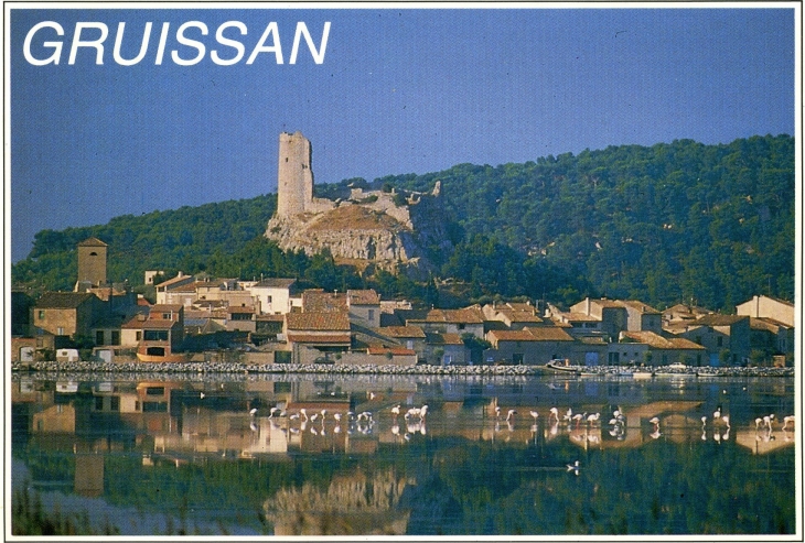 Flamands rose sur les Etangs (carte postale de 1990) - Gruissan