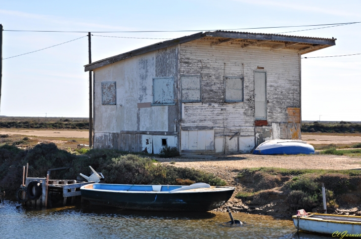 L'Ayrolle - Cabanes de Pêcheurs - Gruissan