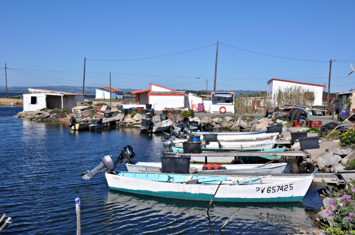 L'Ayrolle - Cabanes de Pêcheurs - Gruissan