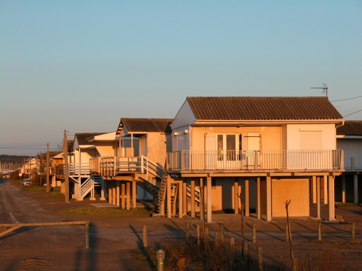 Gruissan- Maisons sur piloti