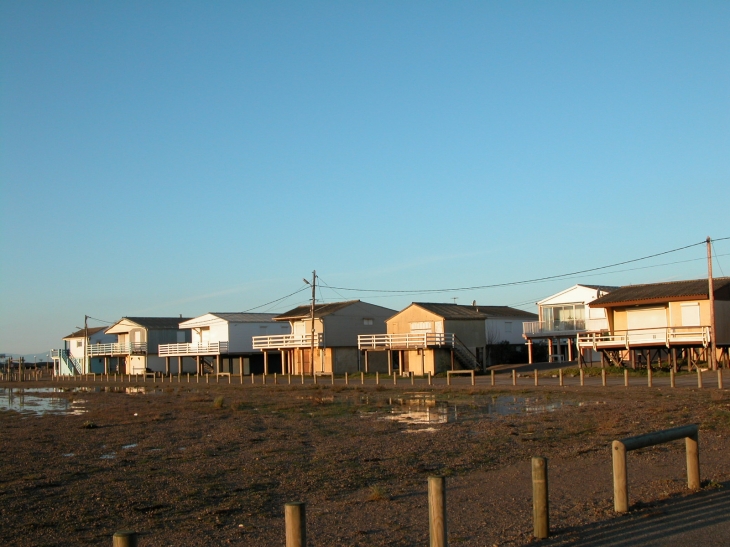 Gruissan- Maisons sur piloti