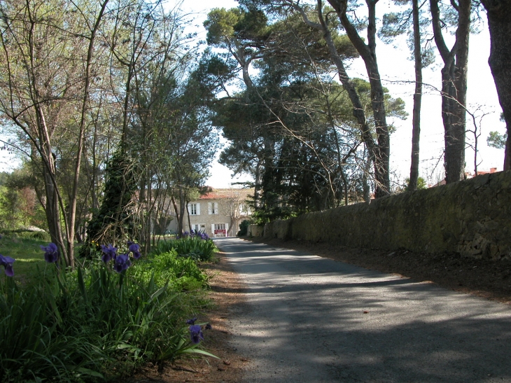 Château Rouquette - Gruissan