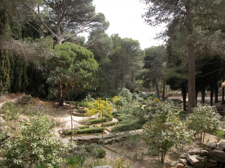 Jardin de l'Ermite Cyprien - Gruissan