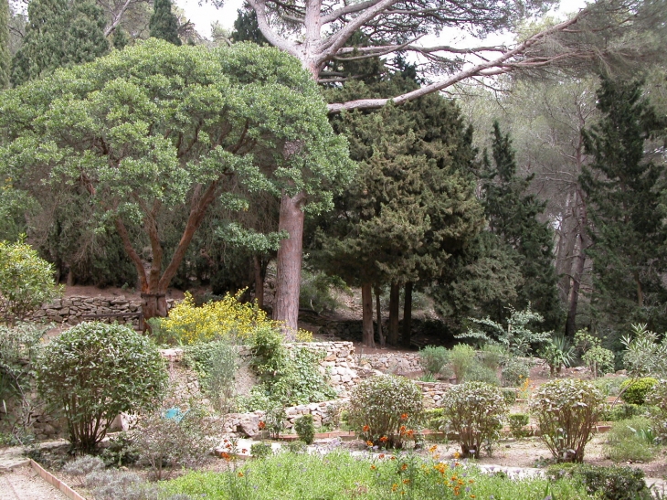 Jardin de l'Ermite Cyprien - Gruissan