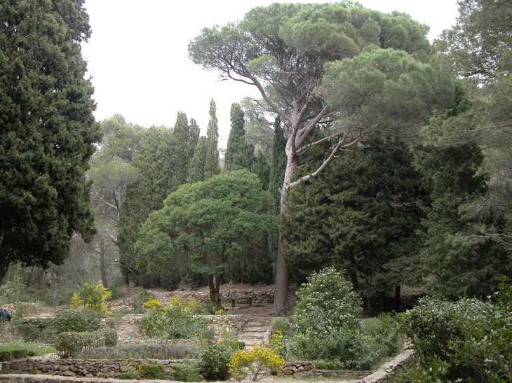 Jardin de l'Ermite Cyprien - Gruissan