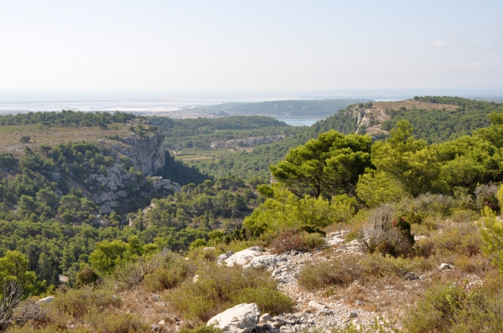 La Clape - Gruissan