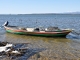 Barque de pêcheurs - L'Ayrolle - Cabanes de Pêcheurs