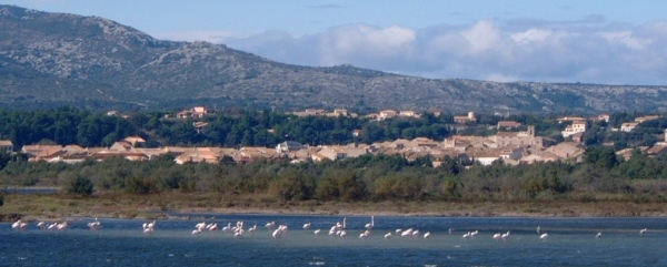 L'Etang de La Palme et le Village