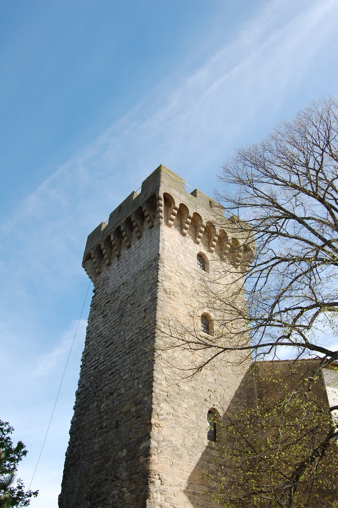 La Tour du château - La Pomarède