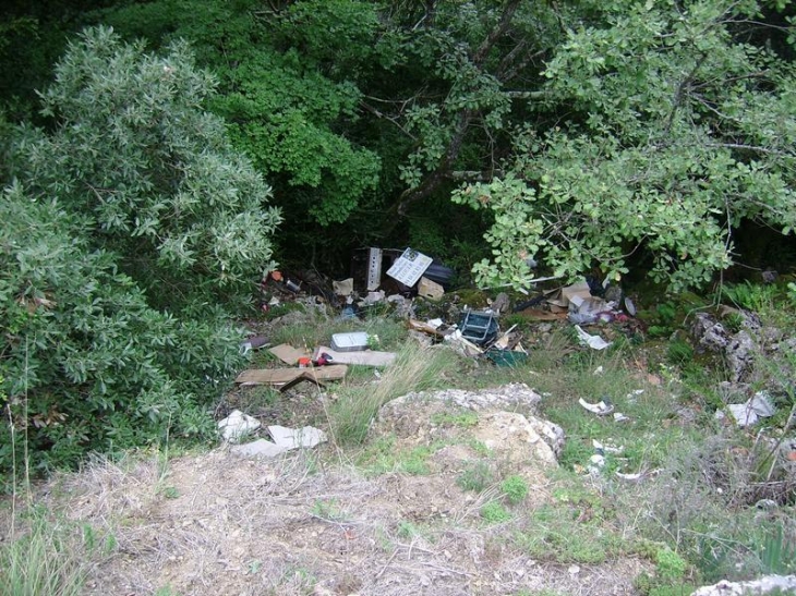 Carcasses ... - Labastide-en-Val