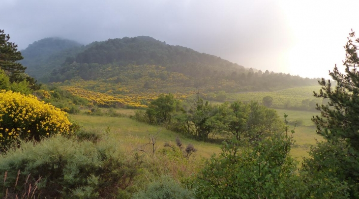  - Labastide-en-Val