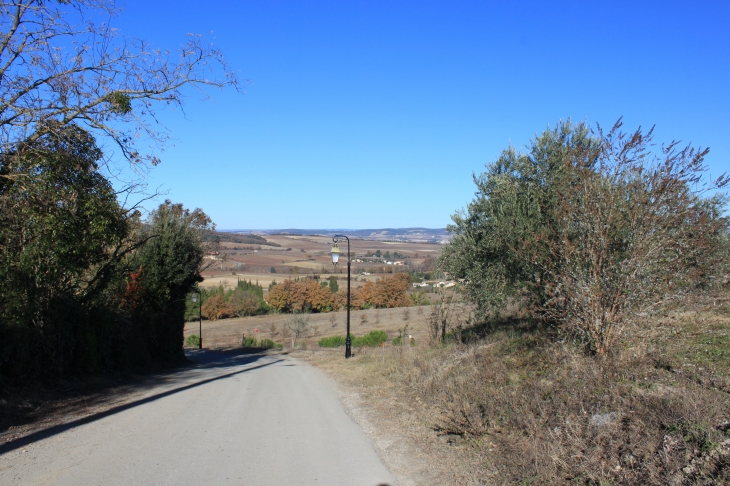 Chemin des Oliviers - Malras