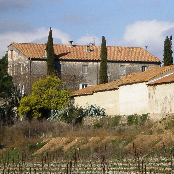 Domaine de l'Herbe Sainte  - Mirepeisset