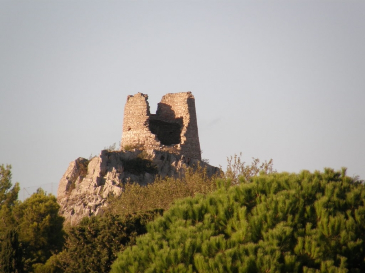 La tour principale qui domine le village - Montredon-des-Corbières