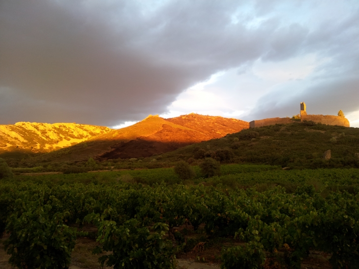 Coucher de soleil au CASTELLAS - Montredon-des-Corbières