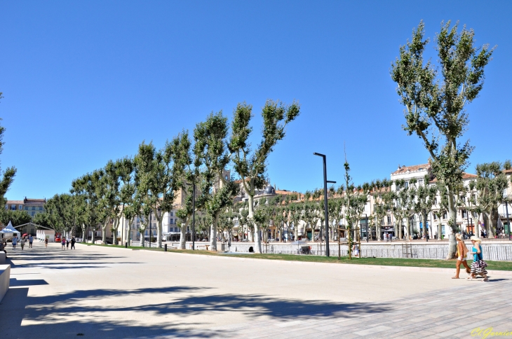 Place des Halles  - Narbonne