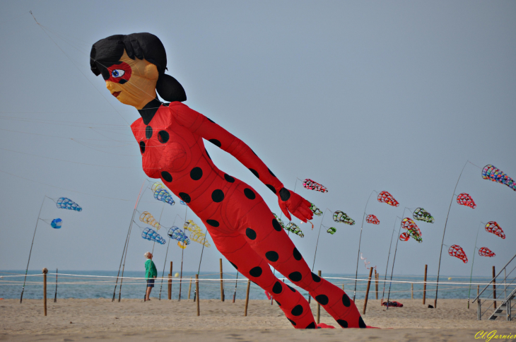 Natur'Ailes 2019 - Narbonne/Plage