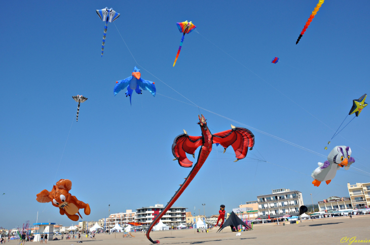 Natur'Ailes 2019 - Narbonne/Plage