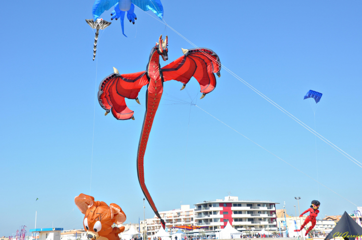 Natur'Ailes 2019 - Narbonne/Plage