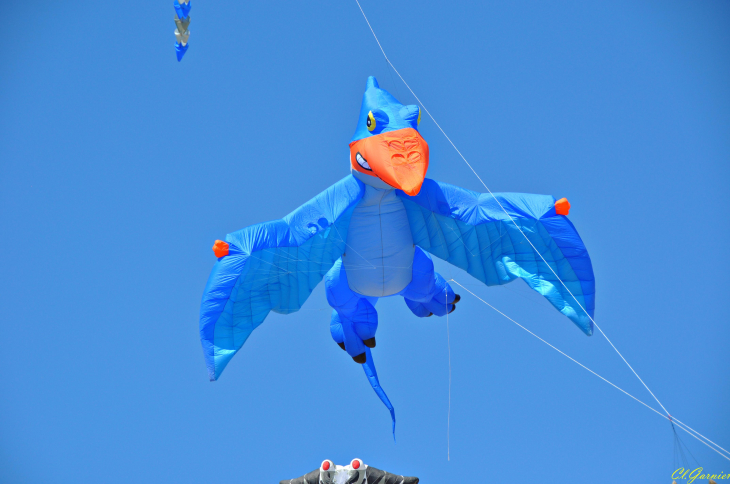 Natur'Ailes 2019 - Narbonne/Plage