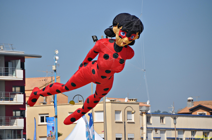 Natur'Ailes 2019 - Narbonne/Plage