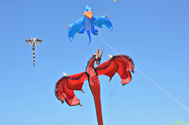 Natur'Ailes 2019 - Narbonne/Plage