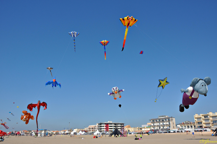 Natur'Ailes 2019 - Narbonne/Plage