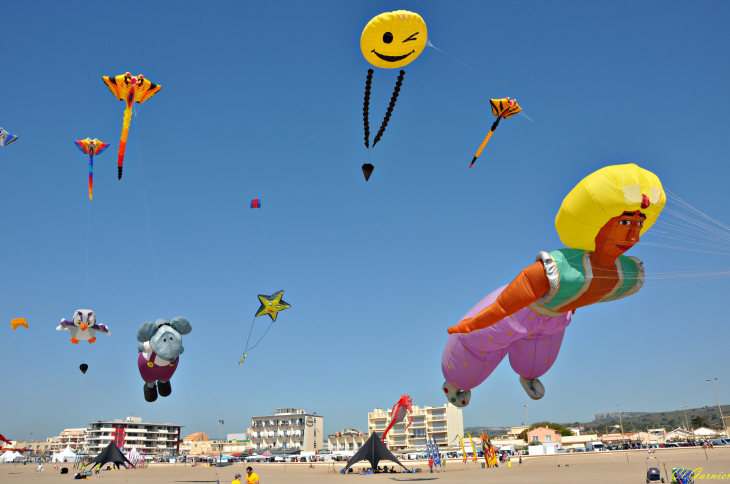 Natur'Ailes 2019 - Narbonne/Plage