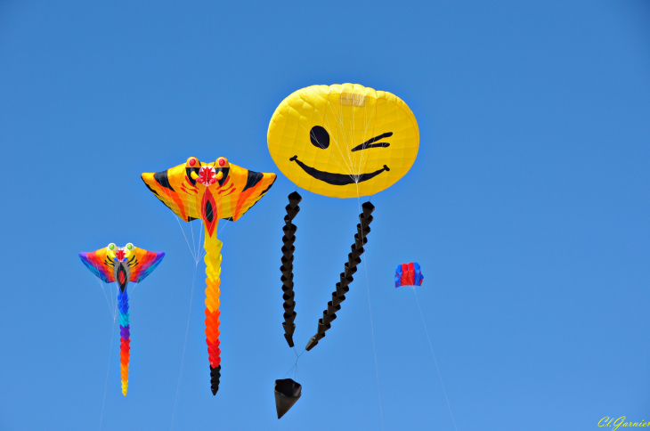 Natur'Ailes 2019 - Narbonne/Plage