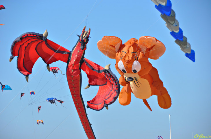 Natur'Ailes 2019 - Narbonne/Plage