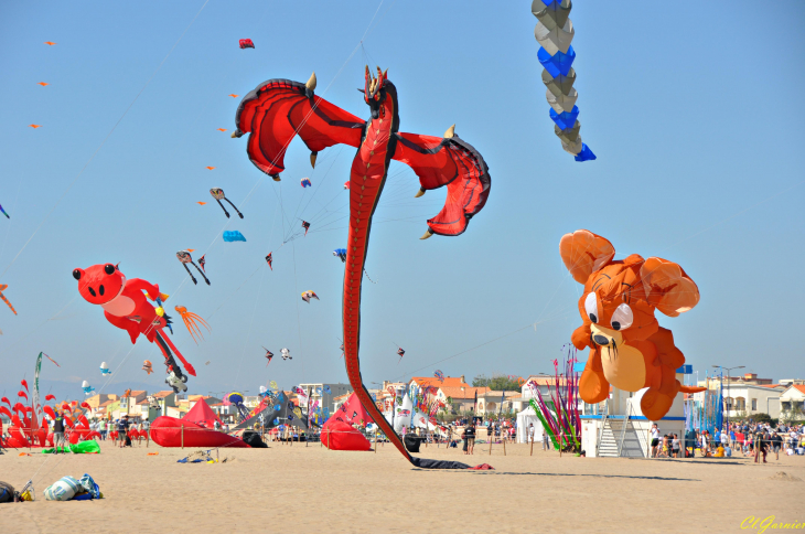 Natur'Ailes 2019 - Narbonne/Plage