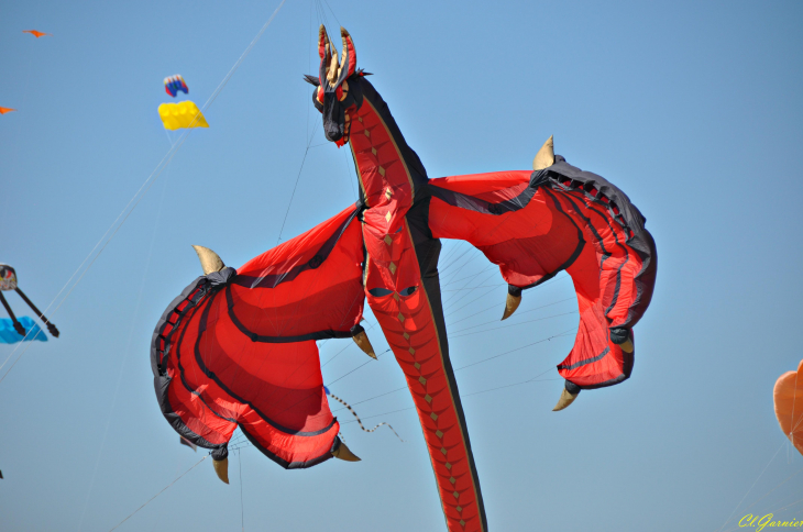 Natur'Ailes 2019 - Narbonne/Plage