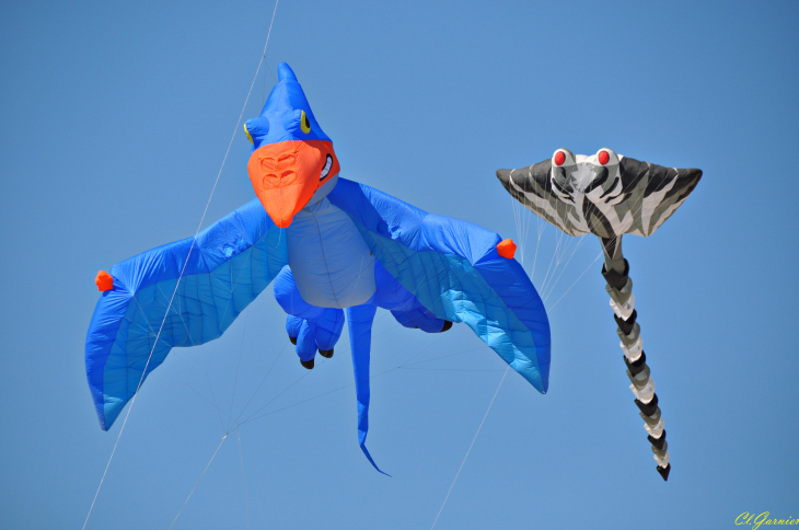 Natur'Ailes 2019 - Narbonne/Plage