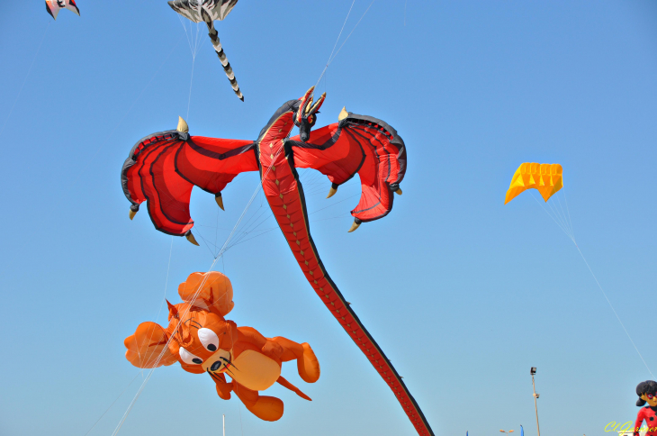 Natur'Ailes 2019 - Narbonne/Plage